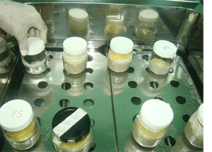 Banco de Leche Humana Hospital Universitario Maternidad Nuestra de la Altagracia (HUMNSA), ha producido 1,515,40 ml en 5 a&ntilde;os.