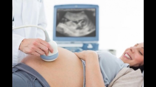 Importancia de los Chequeos Prenatales Durante el Embarazo
